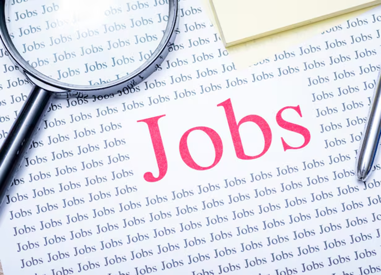 Job News: Employment opportunities for class 10th, 12th pass and graduates; Salary up to Rs 25,000