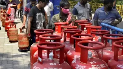 Lpg Cylinder Subsidy Over Rs 155 Crore Released For 36 Lakh Consumers By Rajasthan Govt