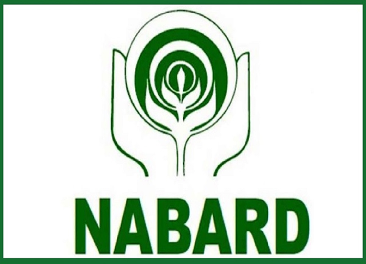 NABARD Recruitment 2024: Application open for 102 assistant manager posts, here’s direct link to apply