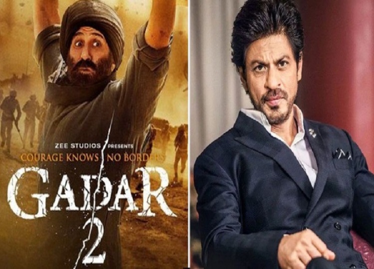 Gadar 2:  Shahrukh Khan spoke big about Sunny's film Gadar 2, will be shocked to hear....
