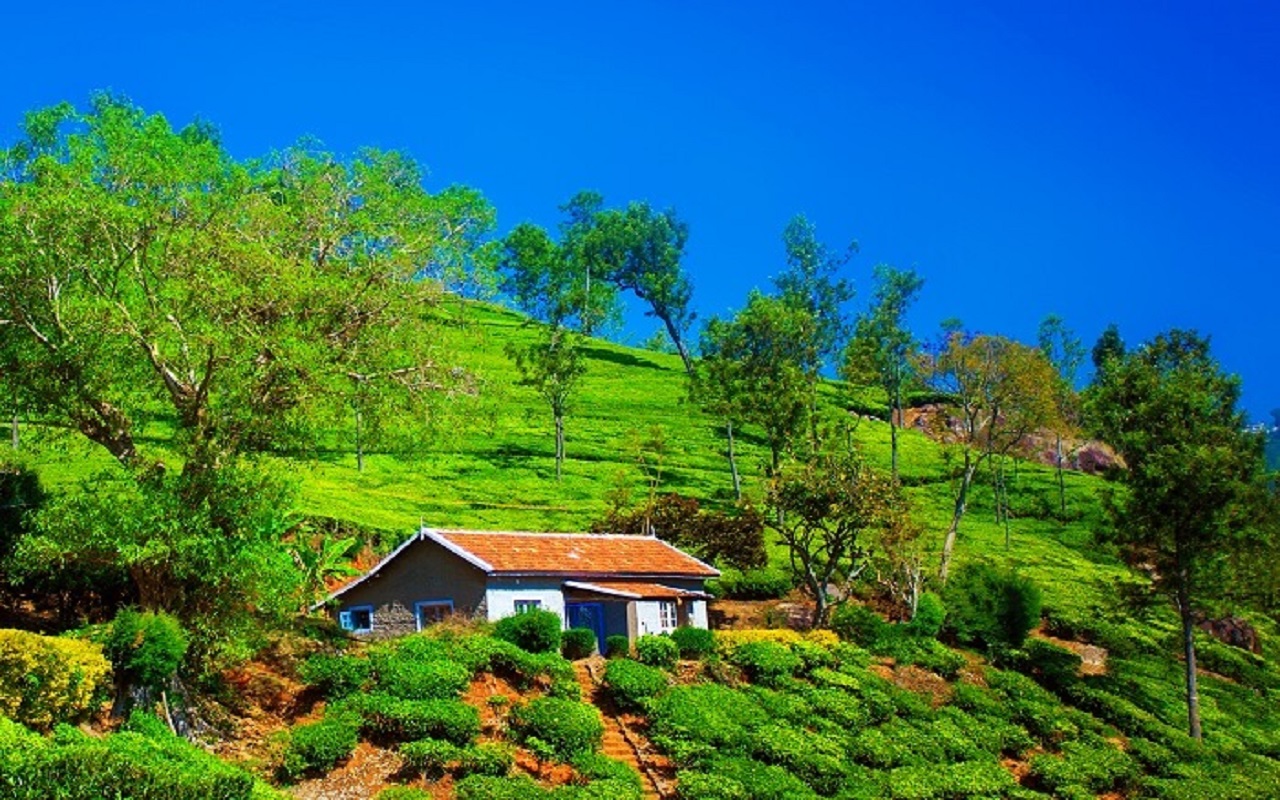 Travel Tips: Seeing Coonoor, you will also stop your eyes, such beauty will cover your heart and mind