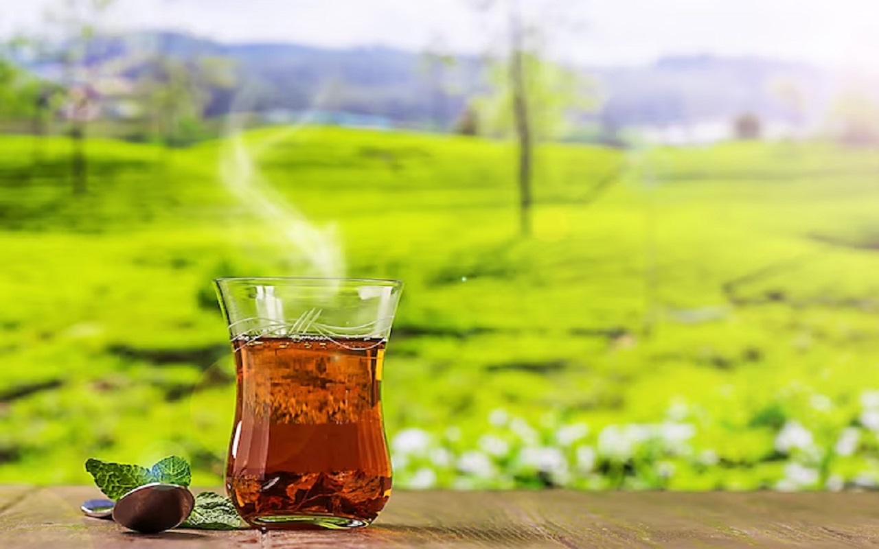 Recipe Tips: This tea is very beneficial for health, this is the easy way to make it