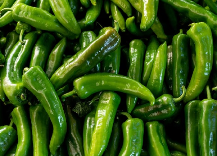 Health Tips: Green chilli protects from many diseases including cancer, know this