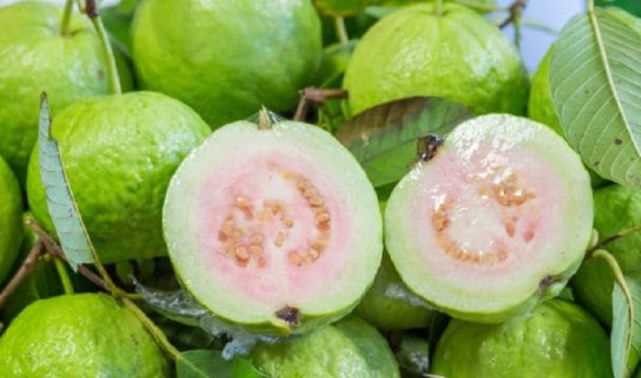 Health Tips: Guava is very beneficial for health, eating it at this time is more beneficial for health