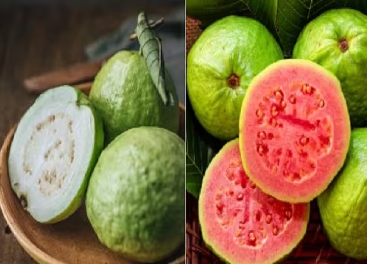Health Tips: There are many benefits of consuming pink guava, it is a panacea for many diseases.