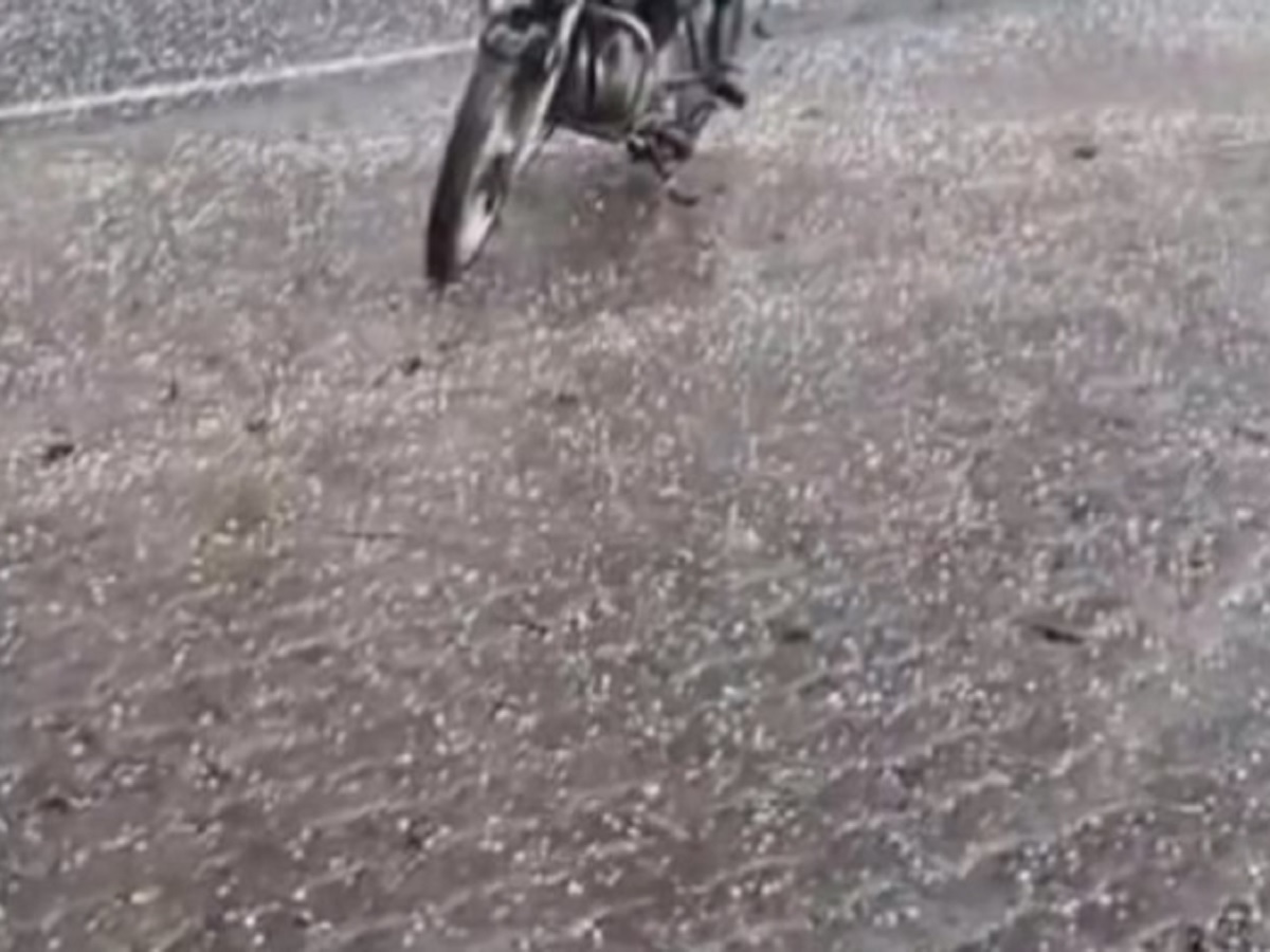 Rajasthan weather update: A strong Western Disturbance is becoming active today, with an alert for rain, hailstorms, and lightning