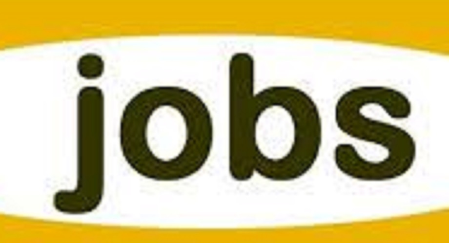 Government Job: Application process started for this recruitment of Rajasthan